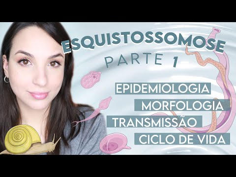 SCHISTOSOMIASIS: Schistosoma mansoni + TIPS FOR YOUR PRACTICAL TEST | Part 1 | PARASITOLOGY #11