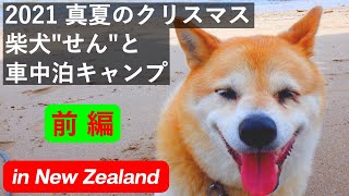 2021 真夏のクリスマス 柴犬"せん"と車中泊キャンプ 【 前編 】in New Zealand