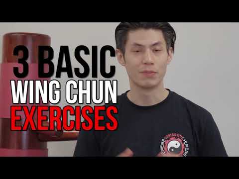 10 Minute Wing Chun Workout Exercises - Routine @1 - Punching and moving