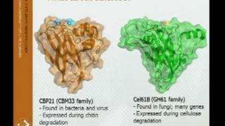 EBI Seminar - Vincent Eijsink