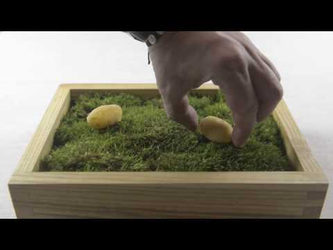 Christmas 2016 Moments by atelier Amaro*