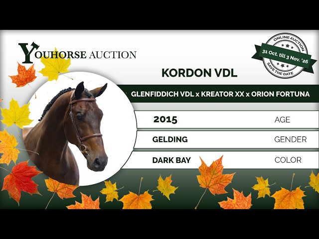 Kordon showvideo