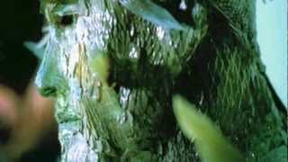 Pooh - Capita quando capita (Official video)