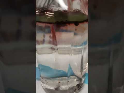 Sulphuric Acid