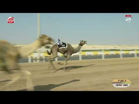 ش 8 (صوع) لـ أحمد راشد بن جمعه السويدي 12:37:09 ، مهرجان ختامي الشحانية 2026/04/27 زمول