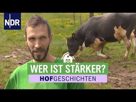 , title : 'Amaretto darf auf die Weide - und wie! | Hofgeschichten: Leben auf dem Land (230) | NDR'