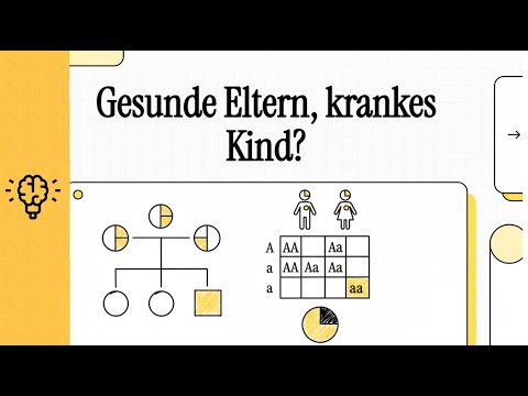 Stammbaum und Stammbaumanalyse | EINFACH ERKLÄRT