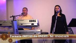 Formatia ORFEUS din ONESTI - 2014 - Colaj usoara + populara- Tel: 0745431679 - clip 23.mkv