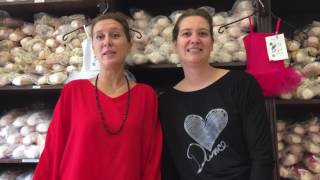 Les souris dansent LSD