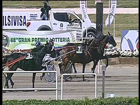 Trotto 29/04/2017 - 1ª corsa