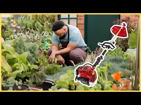 BUKO 52cc : mon test après 5 semaines d'utilisation