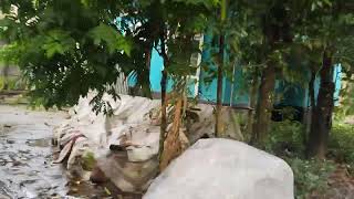 সারাদিন বাইক চালিয়ে যার সাথে দেখা হলো