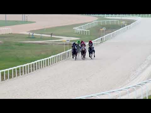 2022.10.30. 08. futam - KISLÉTAI HENDIKEP (V.o.)(szintetikus pálya)