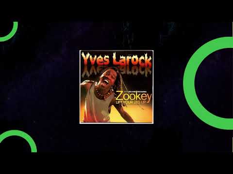 Yves larock X fraanklyn - zookey frequency (Hastro Mashup)