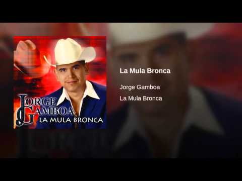 La Mula Bronca