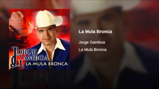 La Mula Bronca