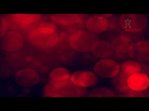 Odd Whirlwind - Roof (Royalty Free Beats)