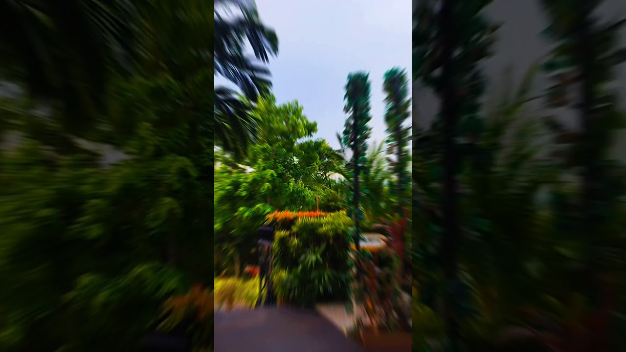 YouTube Short thumbnail