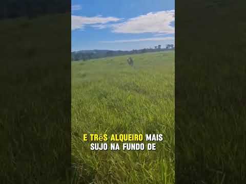 10 alqueires Escriturada Sítio a vanda Vale do Anari Rondônia