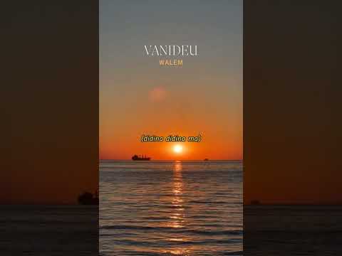 VANIDEU - WALEM ( prod by ‎@saintsoul-pp2mv )