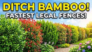 10 Fast-Growing Fences That Are Actually Legal (Better Than Bamboo!) 😱