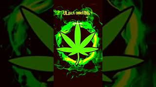 Download lagu mullu mittai kuruvattu nu so mittala soruvum kannu mp3 Download lagu mullu mittai kuruvattu nu so mittala soruvum kannu mp3