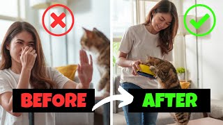 10 Tips for Living with Cat Allergies