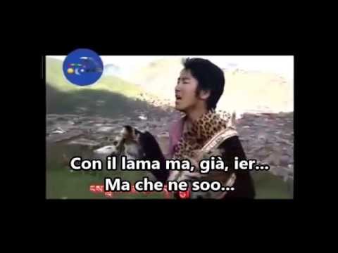 Canzone Tibetana Italianizzata - Ma che ne so - [Kunga]