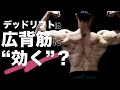 デッドリフトは広背筋に
