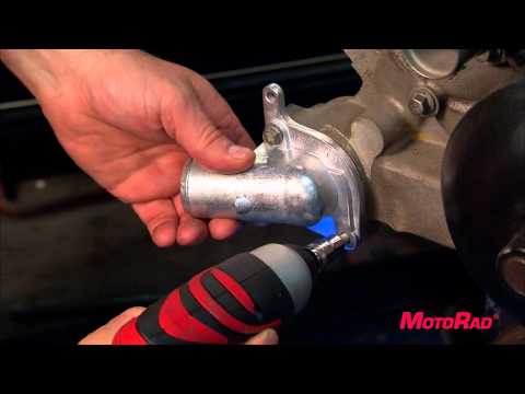 Motorad Thermostat Installation