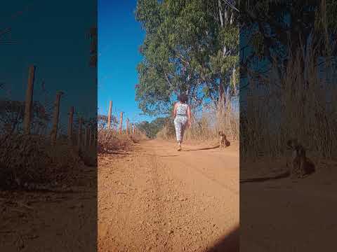 Caminhada sertaneja Comunidade Santa Rita município Vianópolis Goiás Brasil