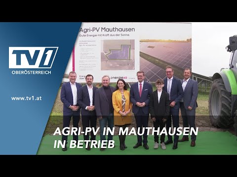 Grüner Strom für rund 700 Haushalte