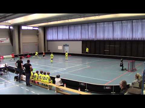 Lions vs The Hardsticks Adliswil 2.12.2018