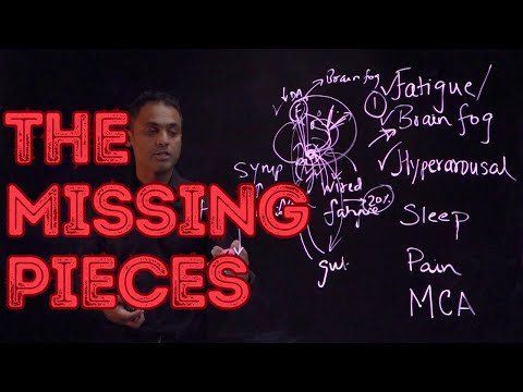 The Hidden Link in Chronic Fatigue, Long Covid, and POTS: A Deep Dive into the Role of the Brain