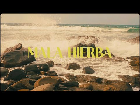 Los Rumberos- Mala Hierba (Lyric video)