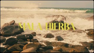 Mala Hierba Music Video