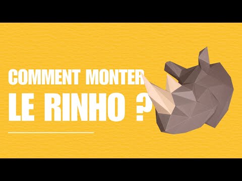 Rhinocéros - vidéo de présentation