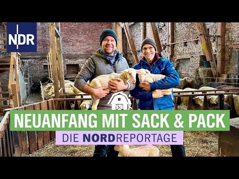 , title : 'Schafe, Traktor und viel Arbeit - die Dorf-Schäferei zieht um | Die Nordreportage | NDR'