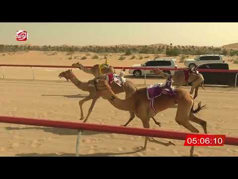 ش 6 (هداوه) لـ احمد سهيل بن عبيد الخييلي 7:53 , شارة الديوان 2026/3/03 ايذاع الخزنة