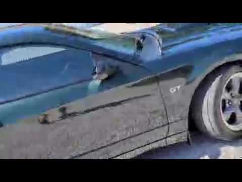 2001 Ford Mustang (CC-2004762) for sale in Osceola, Missouri