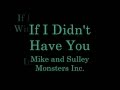 If I Didn T Have You Lyrics