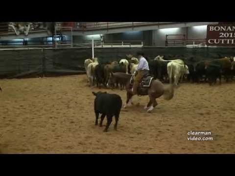 Never Been High Bonanza 2015