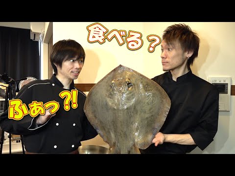 【可愛い後輩】と二人でエイを捌いたら面白すぎた件