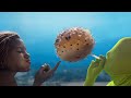 The Little Mermaid Where Disney Went WRONG