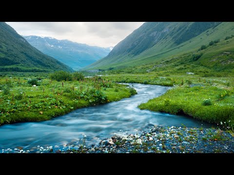 Vođena meditacija za otpuštanje otpora prema zdravlju, novcu i ljubavi- Ana Bučević