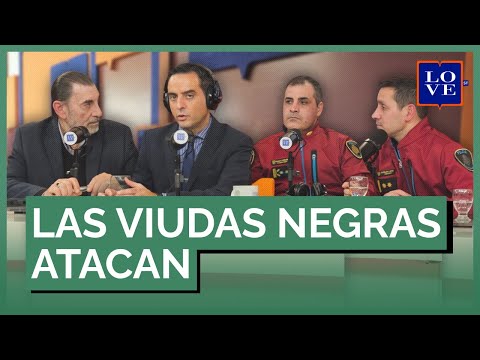 THE BLACK WIDOW TRAP: The Modus Operandi That Deceives Hundreds of Men | #Witnesses 14