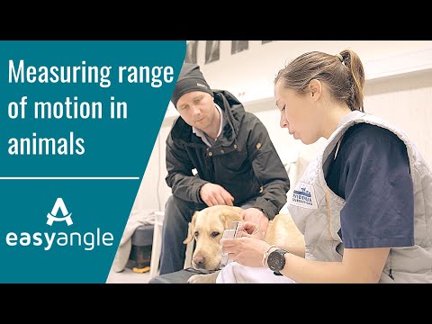 EasyAngle - Digital Goniometer for Veterinary Rehabilitation
