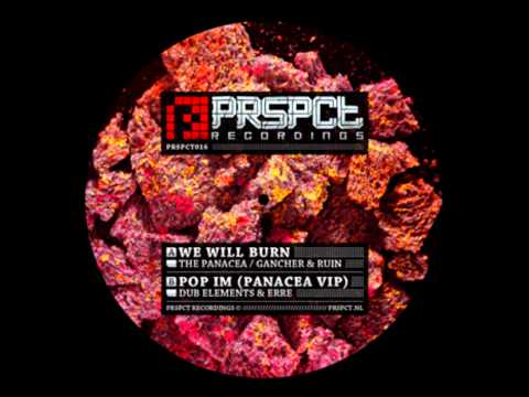 We Wil Burn - The Panacea, Gancher & Ruin PRSPCT 016