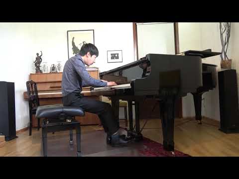 J. Haydn - Sonata in C-minor Hob. XVI/20 1st. movement (by Tommy He)