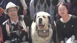 Jungfrau, Grindelwald and Wengen, Switzerland, in one Big Day